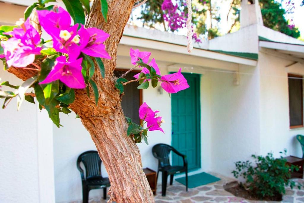 Myndos Bed & Breakfast Bodrum Exterior photo