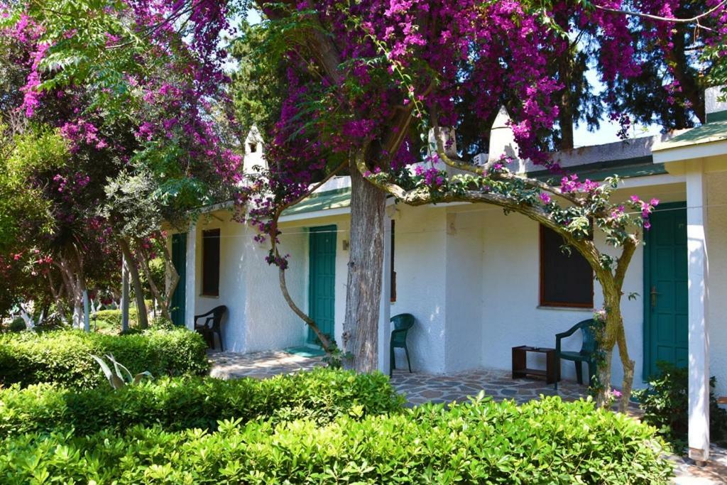 Myndos Bed & Breakfast Bodrum Exterior photo